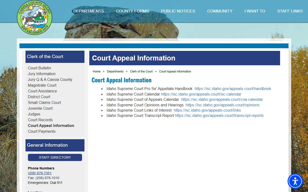 Cassia County court dockets appeal information